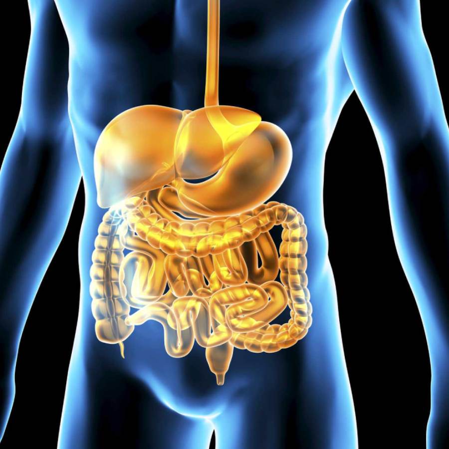 ওষুধ ছাড়া খাবার হজম হচ্ছে না? পেটের সমস্যা মেটাতে প্রাচীন  কালের সমাধান দিলেন চিকিৎসক