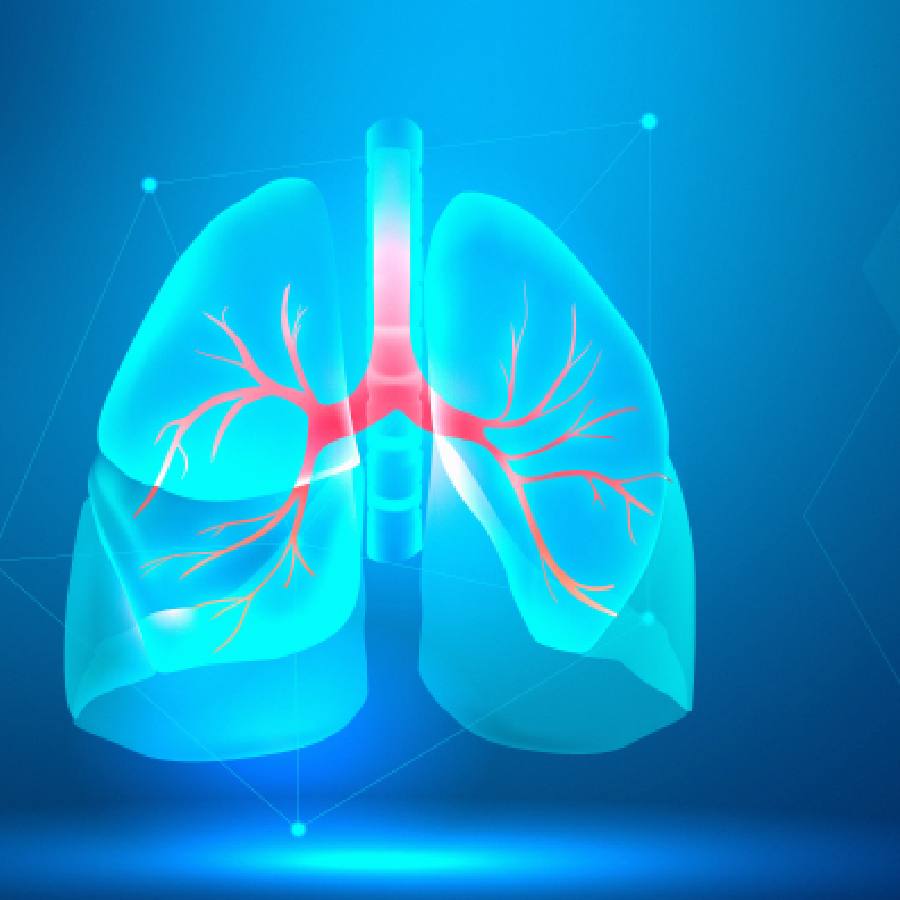 Protect lungs from Pollution, keep 5 anti-oxidant food to your diet dgtl