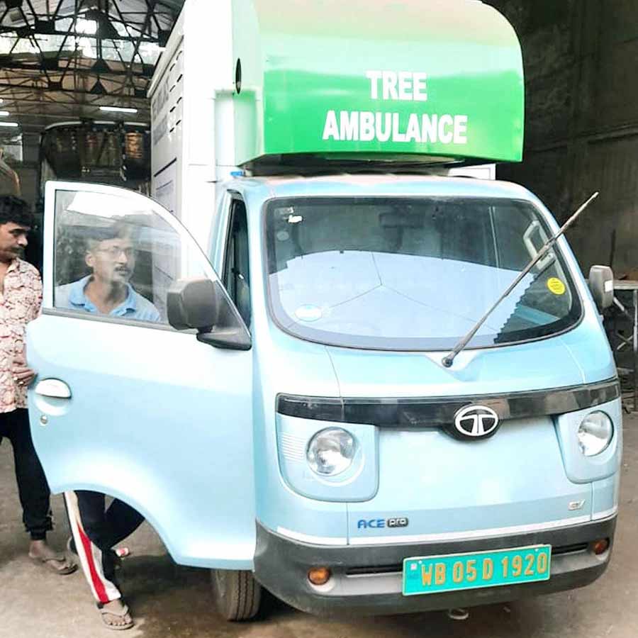 tree ambulance service at KMC