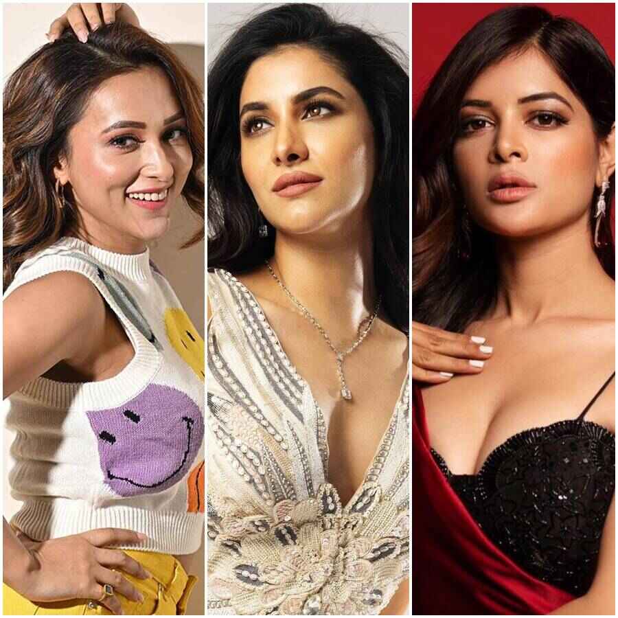 রয়েছেন মিমি চক্রবর্তী, রুক্মিণী মৈত্র, মধুমিতা চক্রবর্তীও।