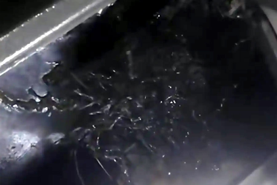 Venom-Like Meteorite