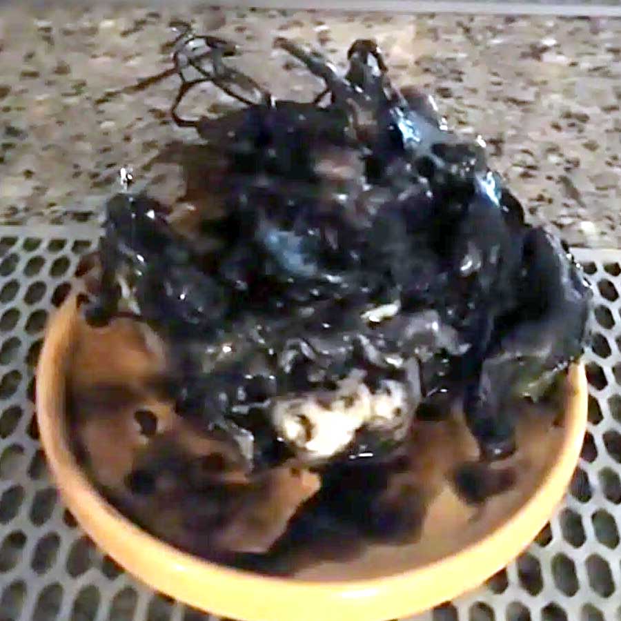 Venom-Like Meteorite