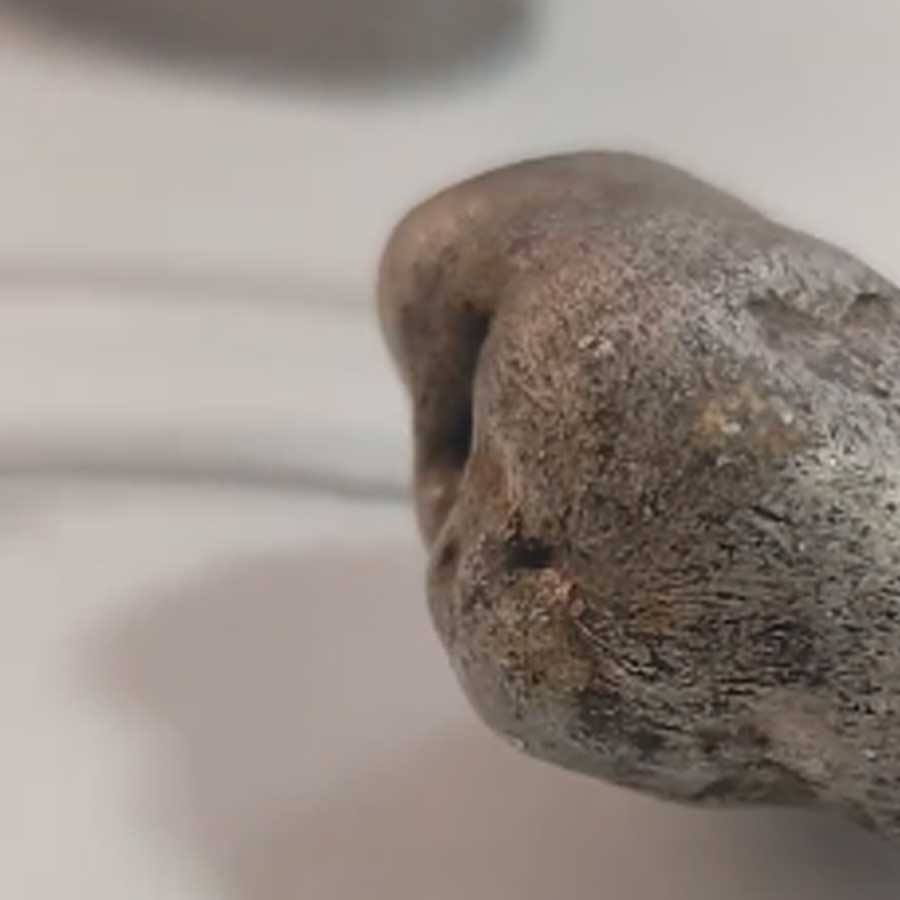 Venom-Like Meteorite