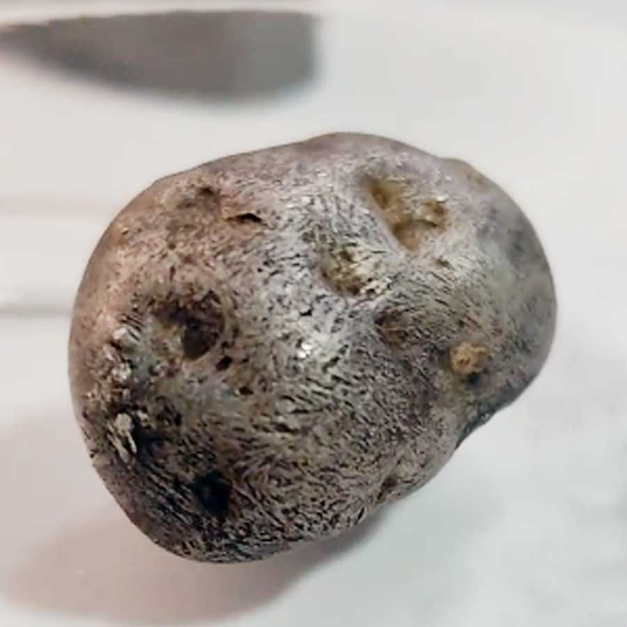 Venom-Like Meteorite