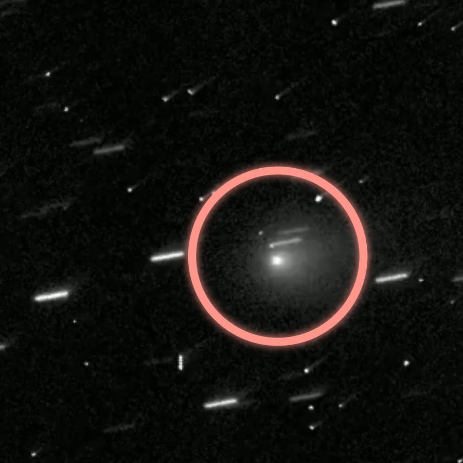 Venom-Like Meteorite