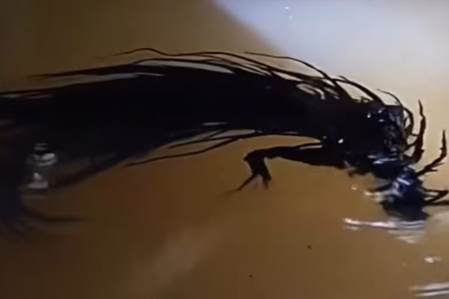 Venom-Like Meteorite