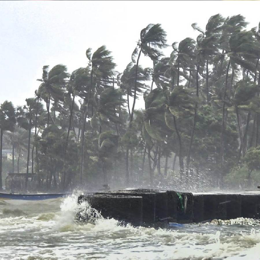 Cyclone Ditwah may intensify further while heading towards India dgtl