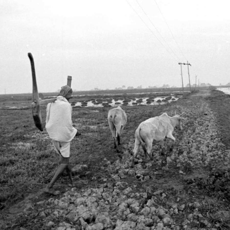 All need to know about Nellie Massacre in Assam and why the incident resurfaces after more than 40 years