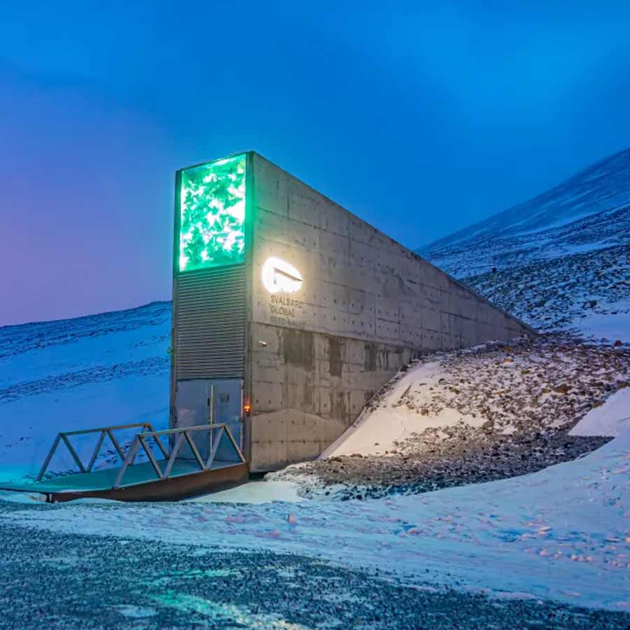 doomsday poop vault