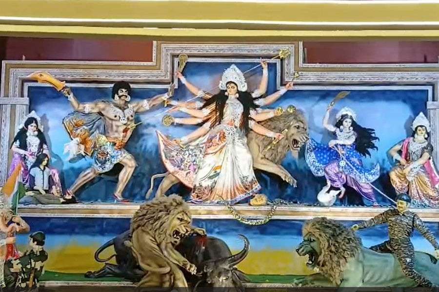 সংগৃহীত চিত্র।