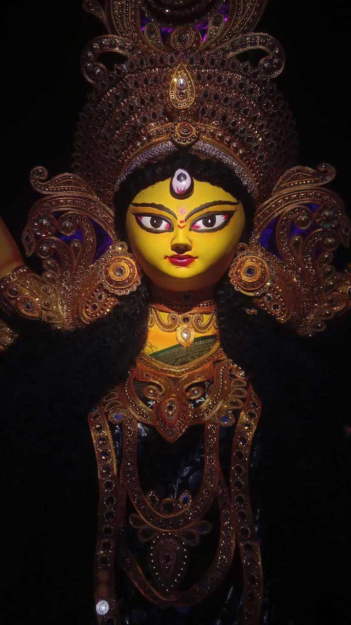 ৩৯ পল্লী পিকনিক গার্ডেনের প্রতিমা।