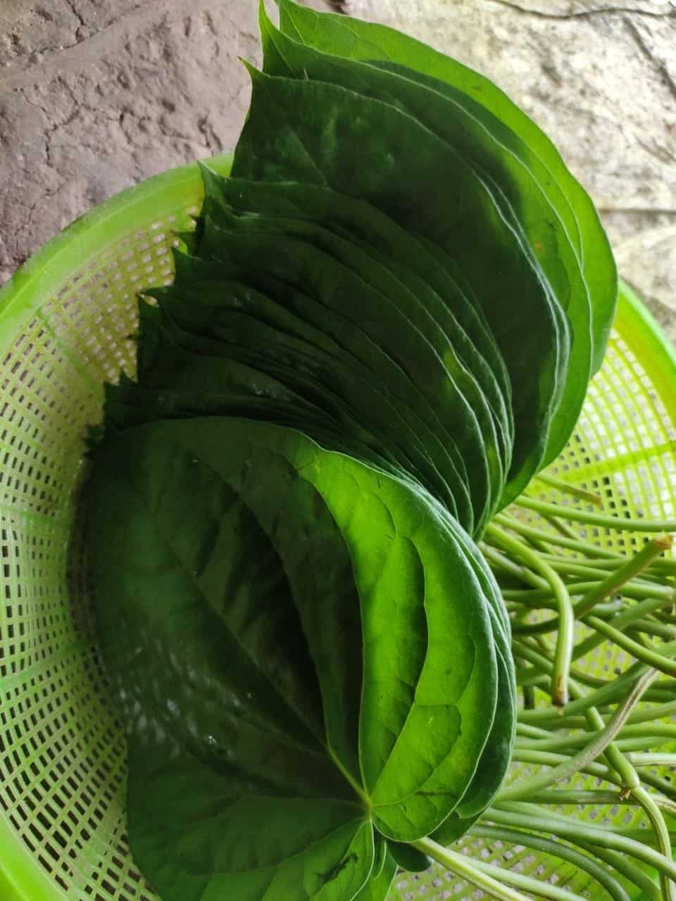 দর্জিপাড়ার এই মিত্র বাড়ির মহিলারা মাছ-ভাত খেয়ে মুখে পান দিয়ে বরণ করতে নামেন প্রতিমাকে। 