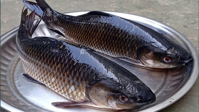  এর পর বাড়ির সকল সদস্যরা মুখে নিয়ে থাকেন পোনা মাছপোড়া। বিকেলে দেওয়া হয় প্রতিমা বিসর্জন। 