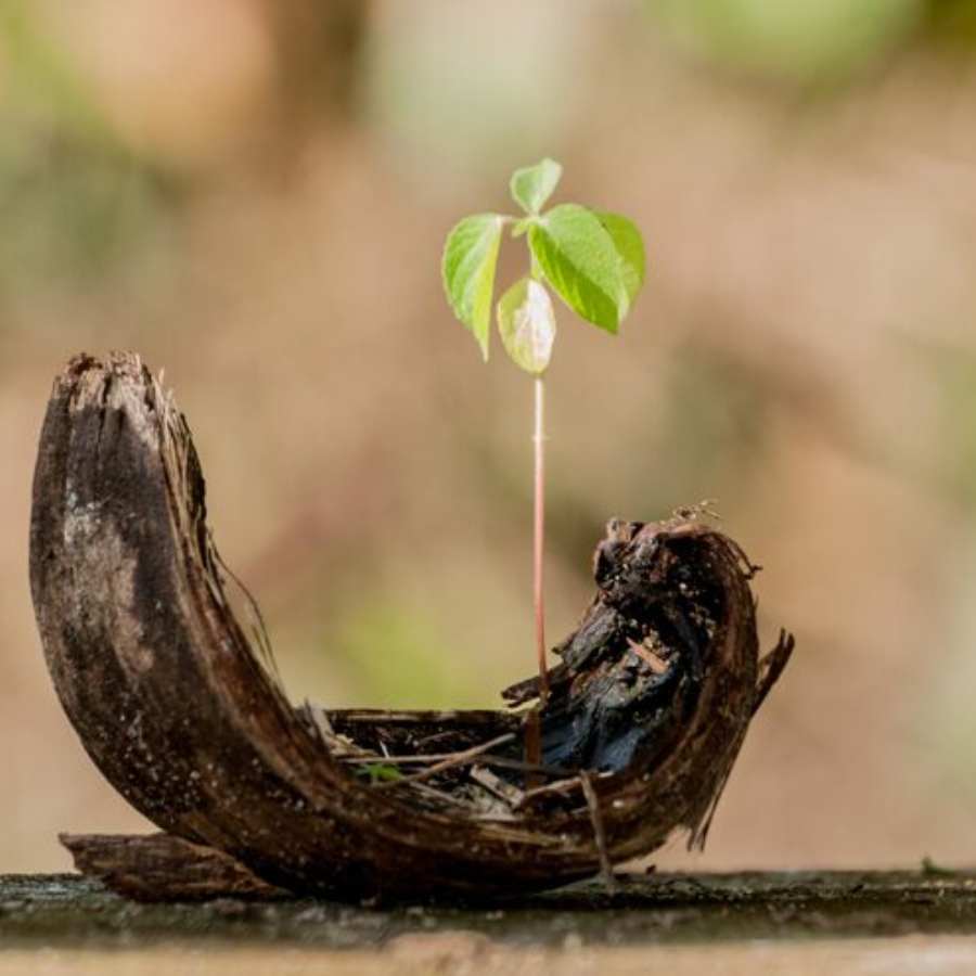 ছবি: ফ্রিপিক।