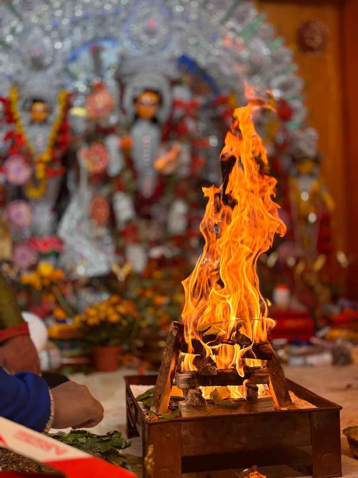 সংগৃহীত চিত্র।