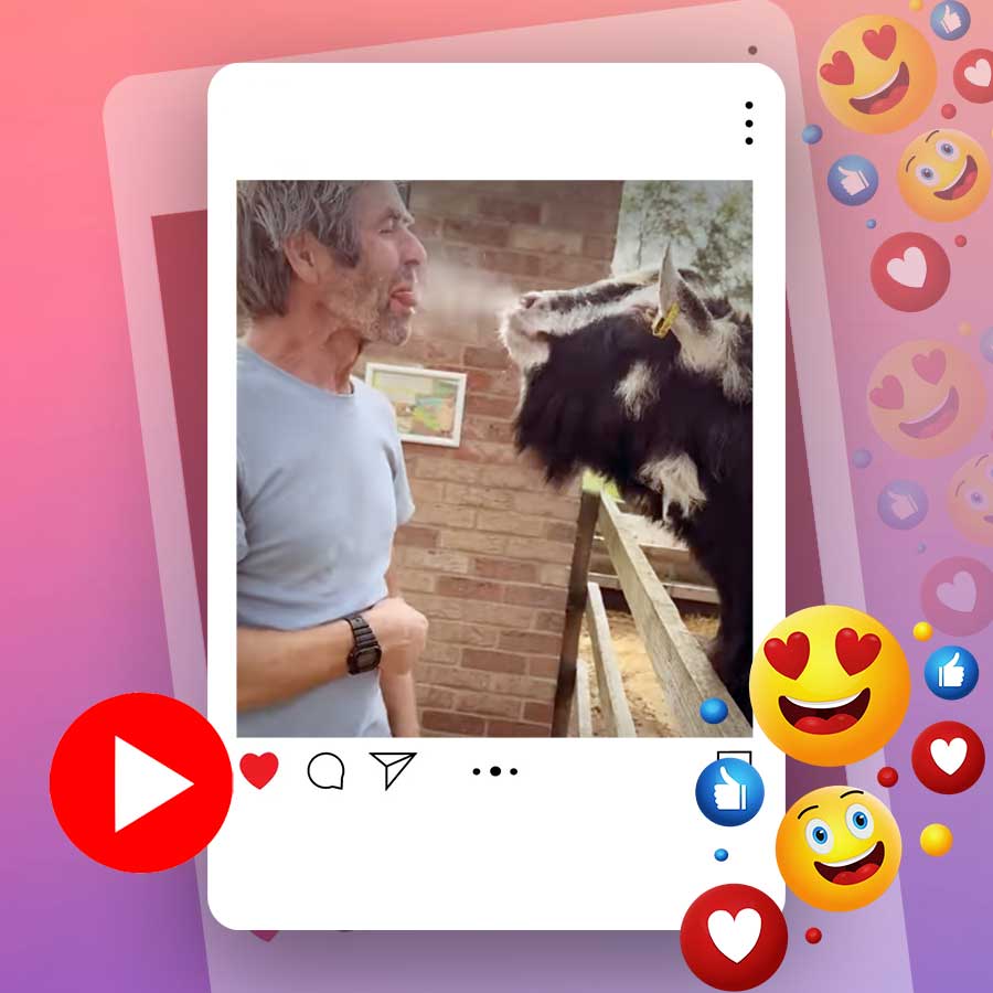 Video of goat spitting on man goes viral dgtl