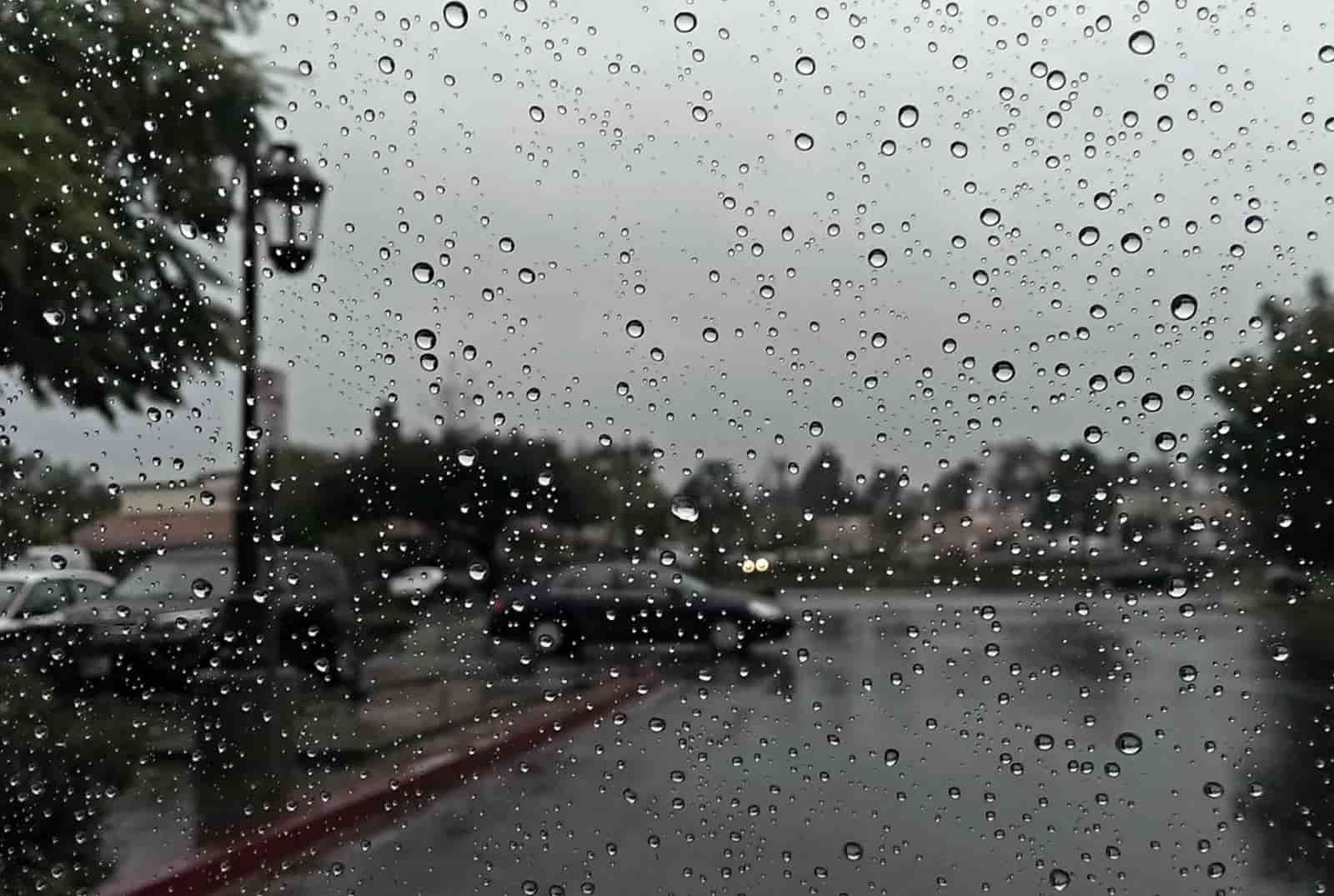 দ্বাদশীতেও একই চিত্র। তবে তার পর আবহাওয়ার কিছুটা উন্নতি হওয়ার সম্ভাবনা থাকলেও কার্নিভালের দিন হতে পারে বিক্ষিপ্ত বৃষ্টি। ( ‘আনন্দ উৎসব ২০২৫’-এর সাফল্যের নেপথ্যে রয়েছেন একাধিক সহযোগী। প্রেজ়েন্টিং পার্টনার ‘মারুতি সুজ়ুকি অ্যারেনা’। অন্যান্য সহযোগীরা হলেন ওয়েডিং পার্টনার ‘এবিপি ওয়ানস্টপ ওয়েডিং’, ফ্যাশন পার্টনার ‘কসমো বাজ়ার’, নলেজ পার্টনার ‘টেকনো ইন্ডিয়া ইউনিভার্সিটি’, ব্যাঙ্কিং পার্টনার ‘ইউনিয়ন ব্যাঙ্ক অফ ইন্ডিয়া’, কমফোর্ট পার্টনার ‘কার্লন’)।  (এই প্রতিবেদনটি ‘আনন্দ উৎসব’ ফিচারের একটি অংশ)।