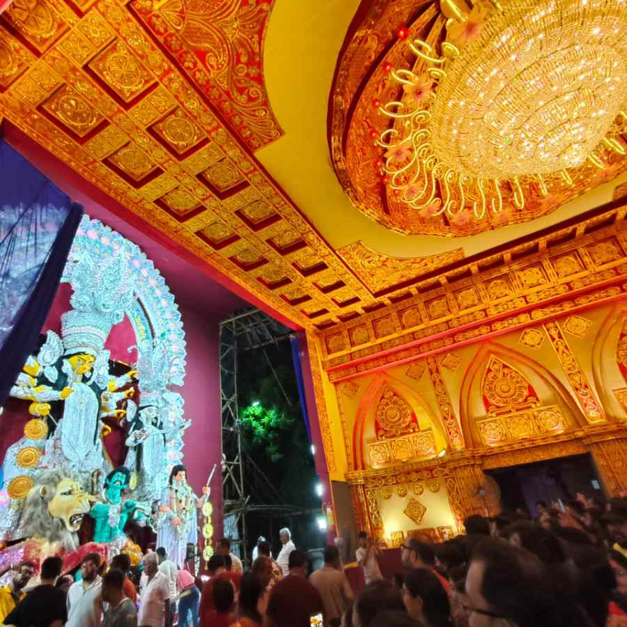 বাগবাজার সর্বজনীনে ঠাকুর দেখার ভিড়।