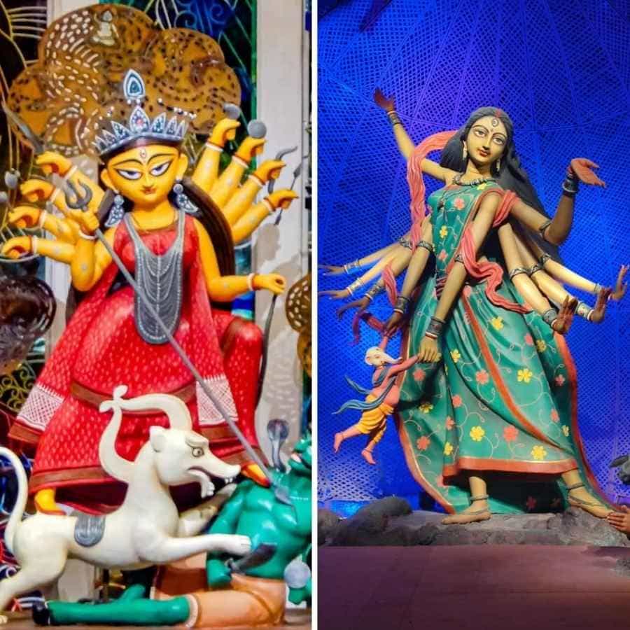 সংগৃহীত চিত্র।