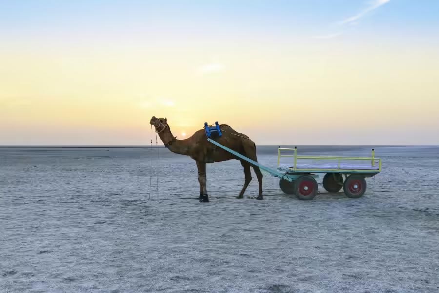 India Pakistan conflict may trigger amid Sir Creek crisis, know about border dispute 