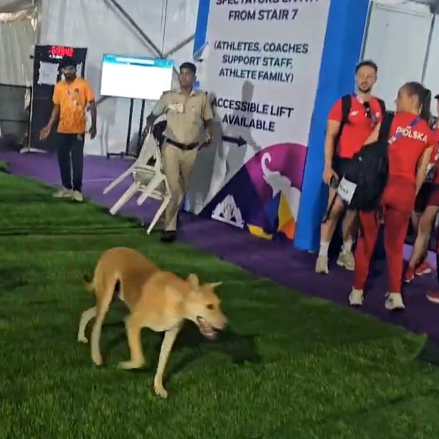 Picture of World Para Athletics Championships