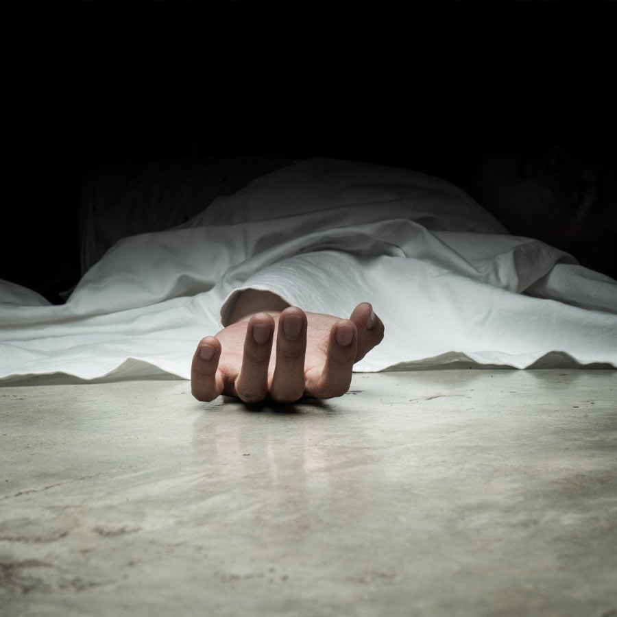 Insurance fraud cases