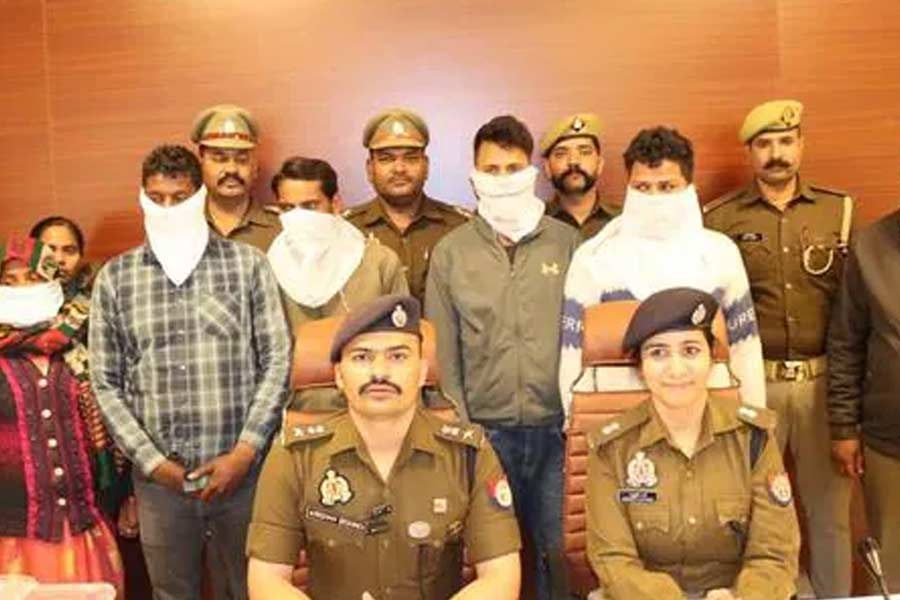 Insurance fraud cases