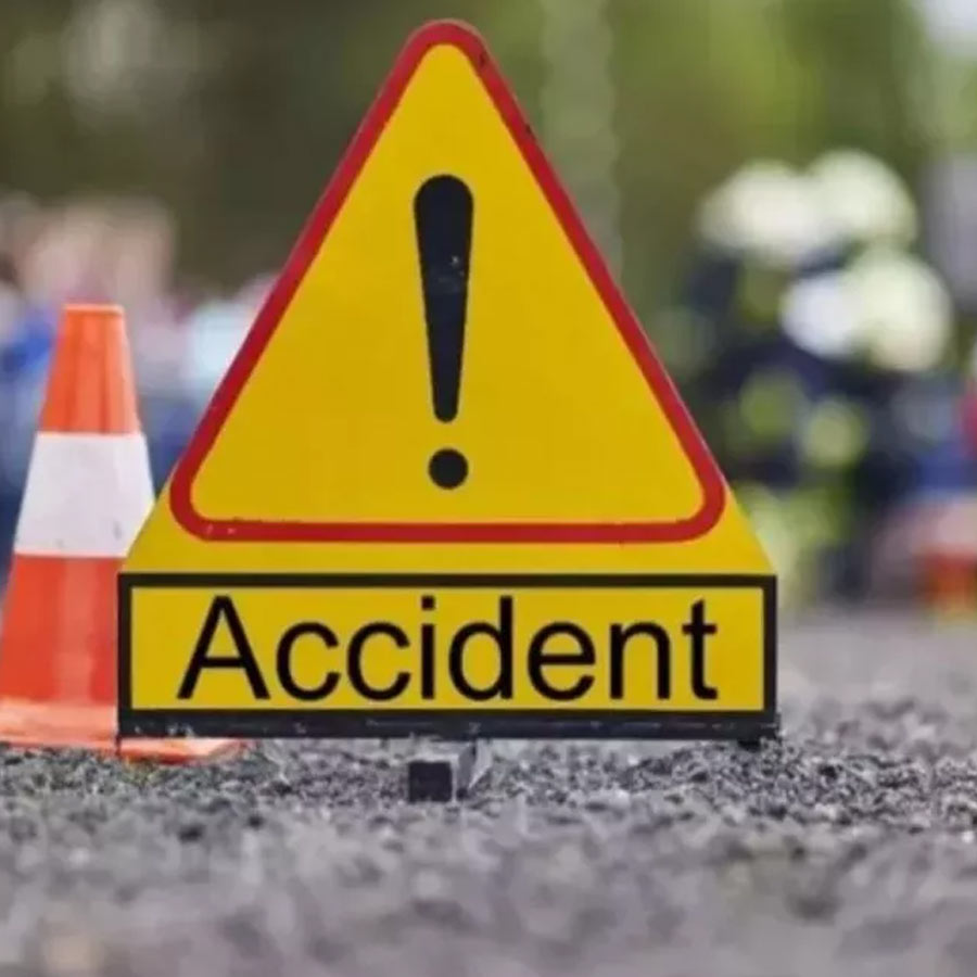 Insurance fraud cases