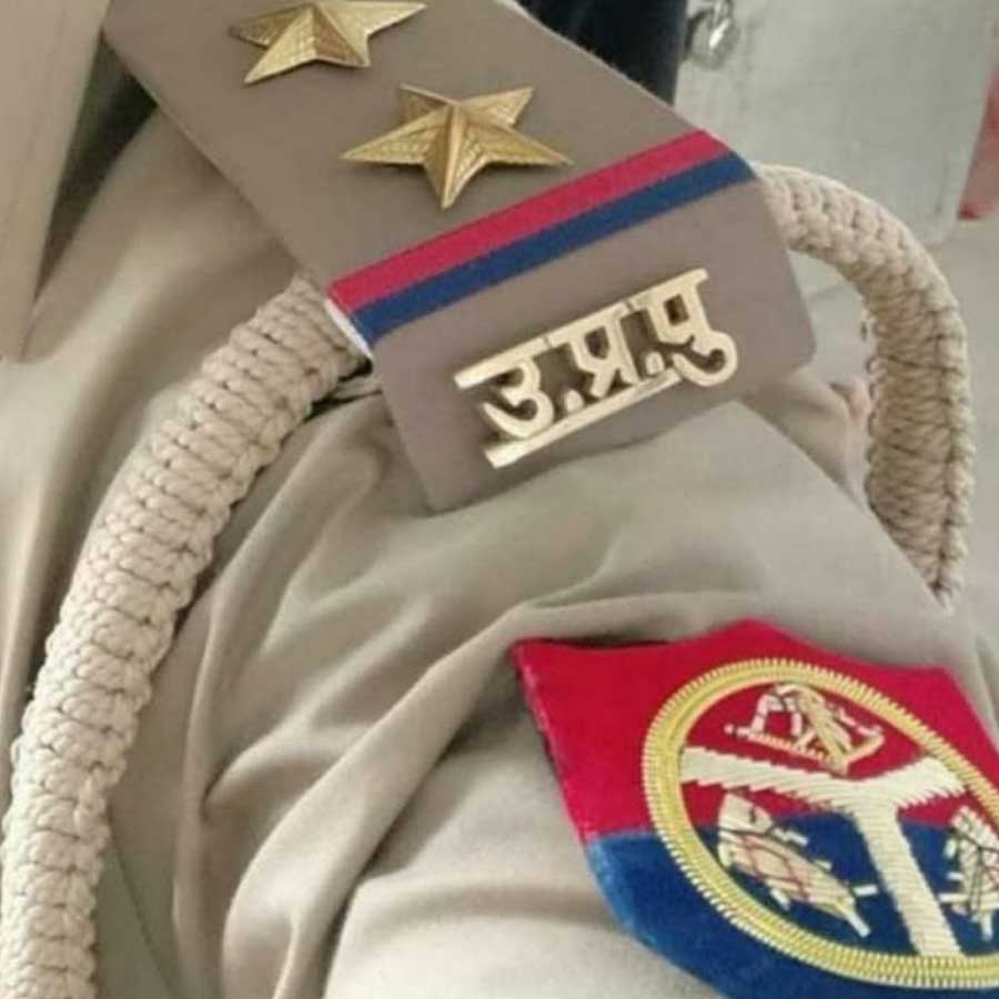 Insurance fraud cases