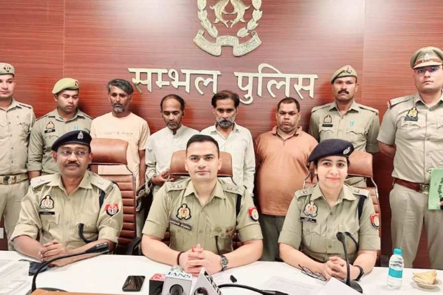 Insurance fraud cases