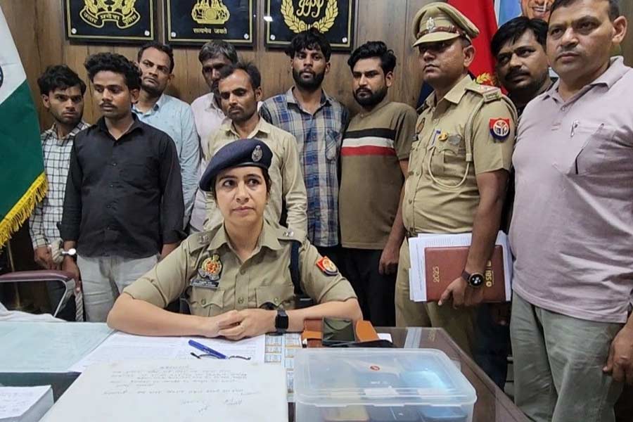 Insurance fraud cases