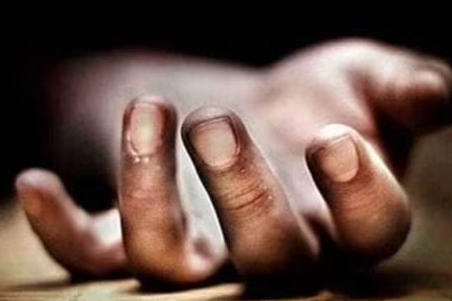 Insurance fraud cases