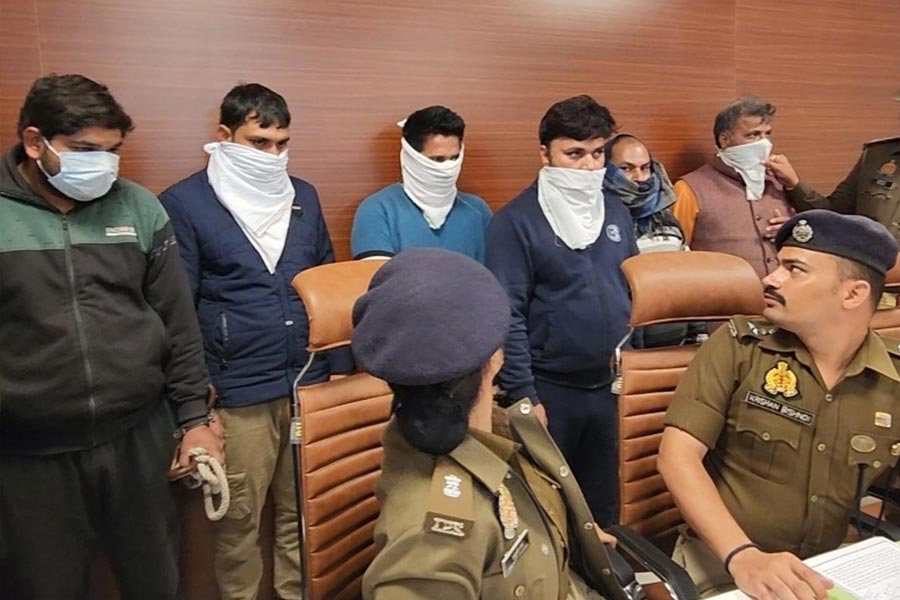 Insurance fraud cases