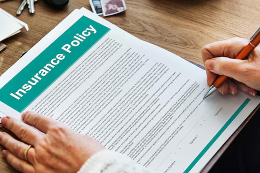 Insurance fraud cases