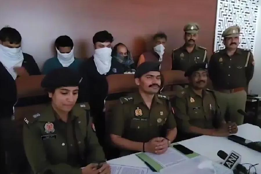 Insurance fraud cases