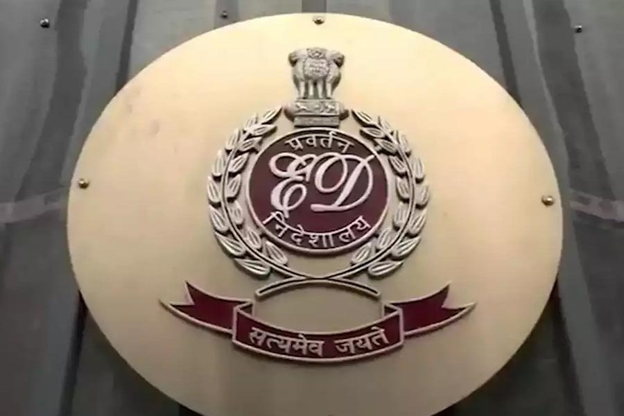 Insurance fraud cases