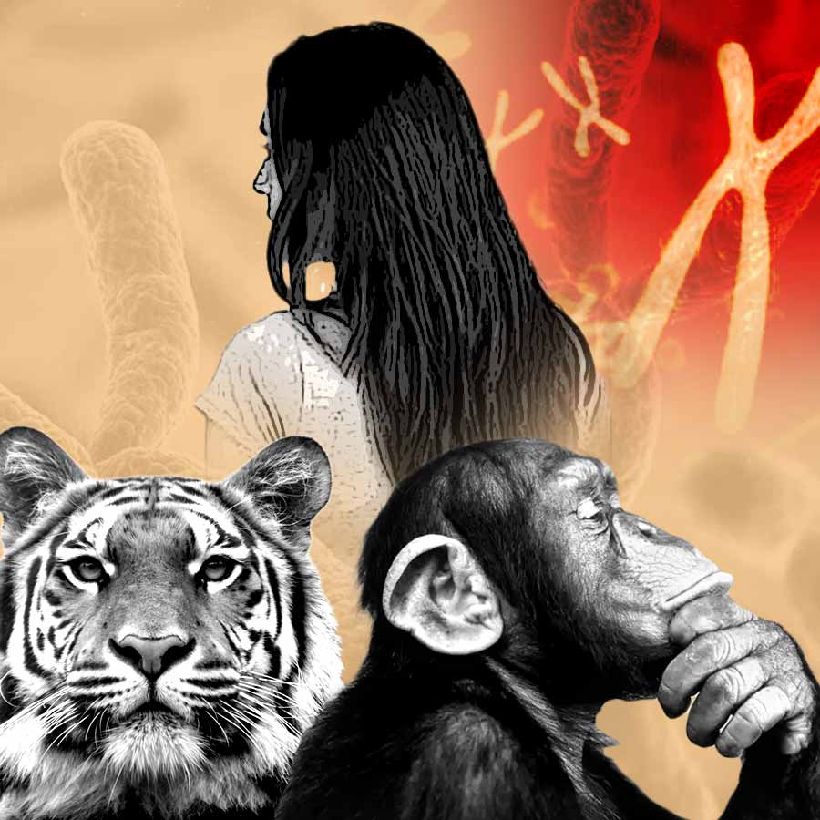 Female mammals live longer than male ones, claims new study dgtl