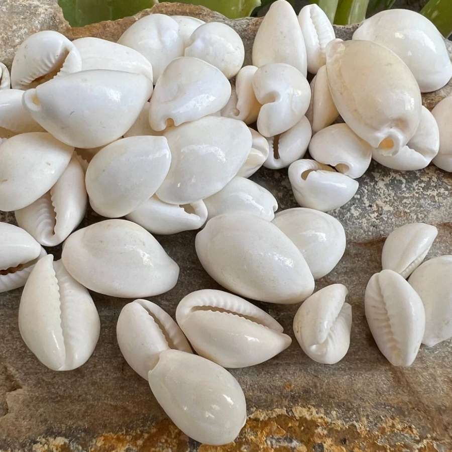 দেবীকে তুষ্ট করতে লক্ষ্মীপুজোর দিন অবশ্যই বাড়িতে আনুন লক্ষ্মী কড়ি। সুন্দর, ভাল কড়ি লক্ষ্মীপুজোর দিন বাড়িতে স্থাপন করা খুবই শুভ। 