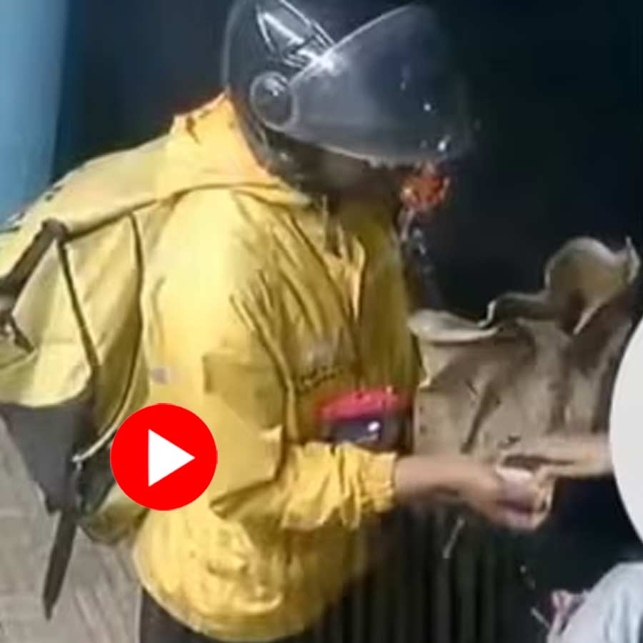 video accusing a Blinkit delivery driver of touching her inappropriately