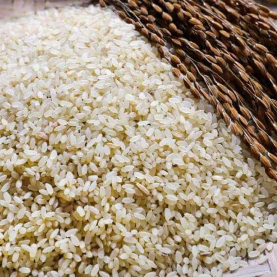 ভুনা খিচুড়ি বানানোর জন্য লাগবে গোবিন্দভোগ চাল, সোনামুগ ডাল, ঘি, সাদা তেল, তেজপাতা, এলাচ, দারুচিনি, লবঙ্গ, শুকনো লঙ্কা, গোটা কাঁচা লঙ্কা, কাঁচা লঙ্কা কুচি, জিরে, আদা কুচি, কাজুবাদাম, আমন্ড, কিশমিশ, নারকেল কোরা, হলুদ গুঁড়ো, নুন, চিনি। 