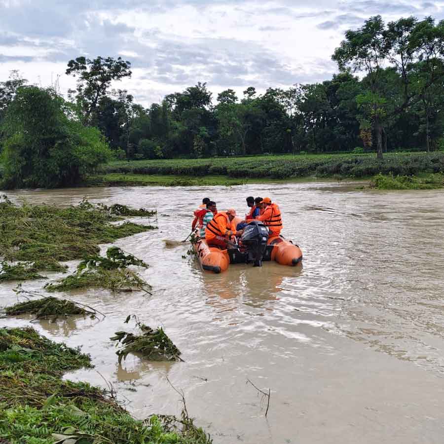 Complain, that relief has failed to rwach remote areas of North bengal