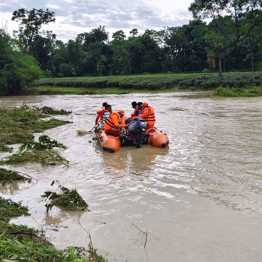 Wooden Bridge over Holong river collapsed dgtld