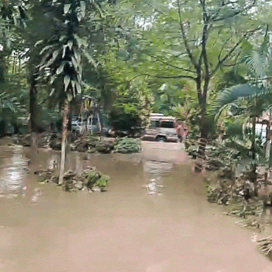 Tourists stranded in Sisamara of Jaldapara, most of the cottages are facing severe crisis dgtl