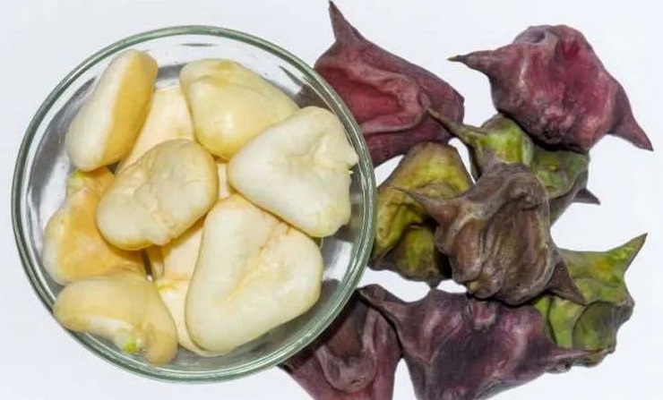 লক্ষ্মীর প্রিয় ফল পানিফল। জলাশয়ে, ডোবায় তার জন্ম। শরতের নীল আকাশে যখন পেঁজা পেঁজা সাদা মেঘ ভেসে বেড়ায় তখন জলে জন্ম হয় পানিফলের। দুর্গাপুজোর সময় থেকে মোটামুটি পৌষ মাস অবধি পানিফল উৎপন্ন হয়। এই ফল দেবী লক্ষ্মীর খুব প্রিয়। কোজাগরী পুজোয় দেবীকে পানিফল নিবেদন করতেই হয়। 