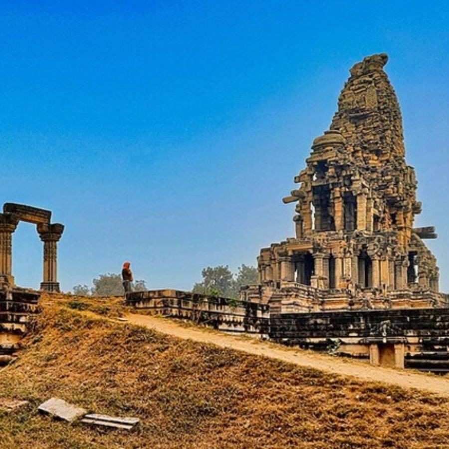 সংগৃহীত চিত্র।