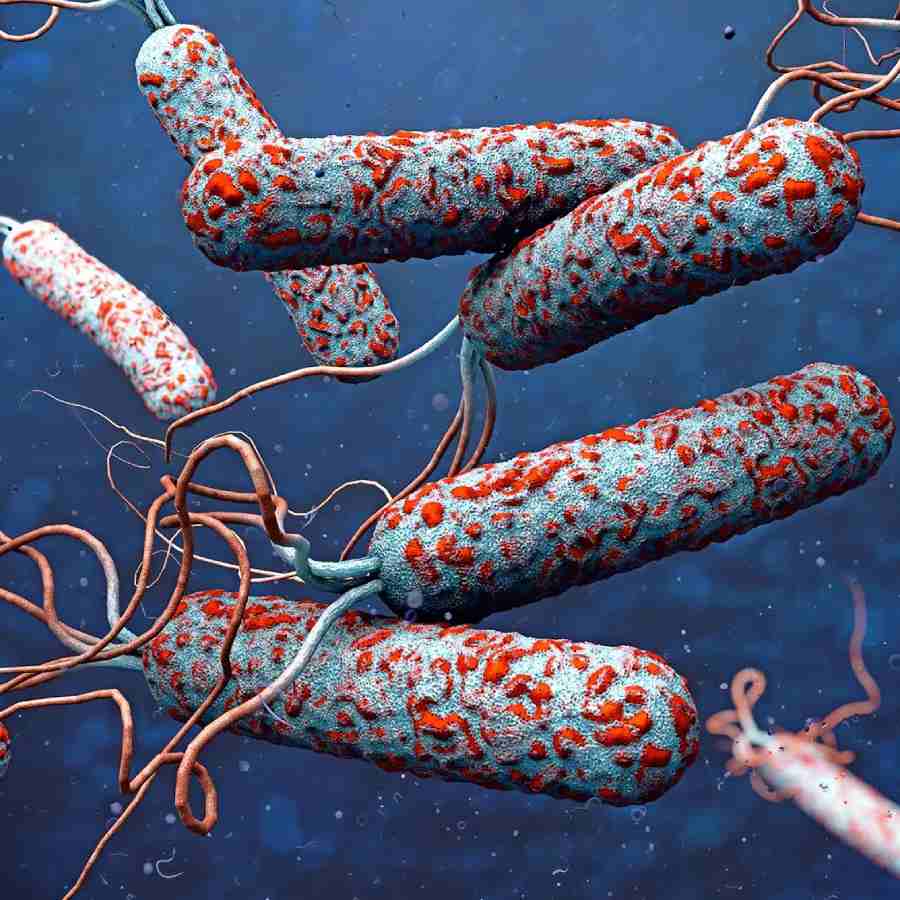 A sudden increase in cholera cases has put Delhi\\\'s health authorities on alert