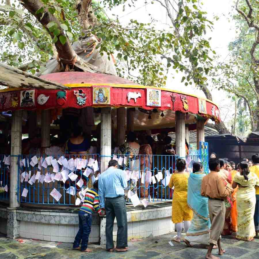 সংগৃহীত চিত্র।