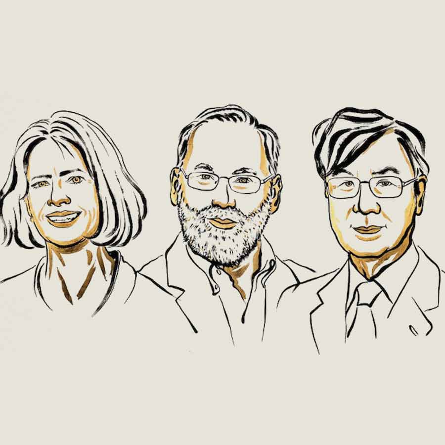 Nobel in Medicine has been awarded to three scholars for discoveries in peripheral immune tolerance dgtl