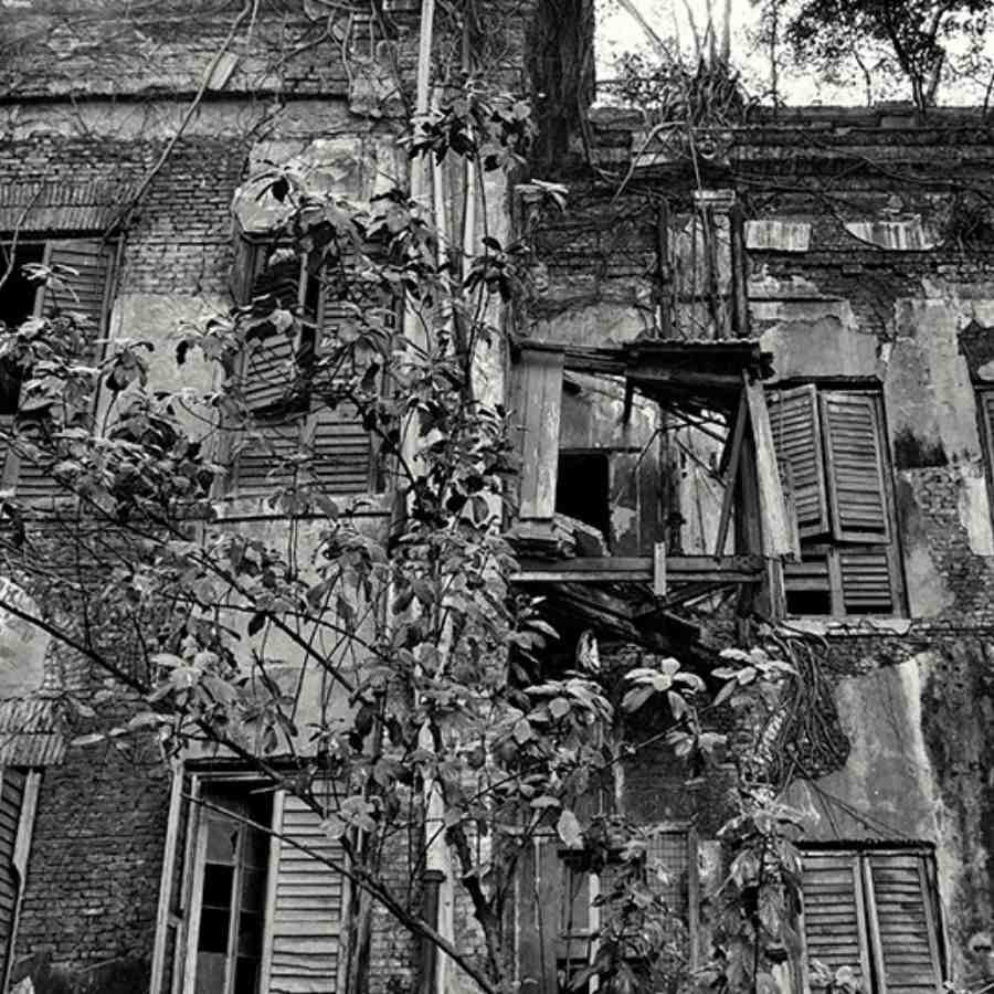 সংগৃহীত চিত্র।