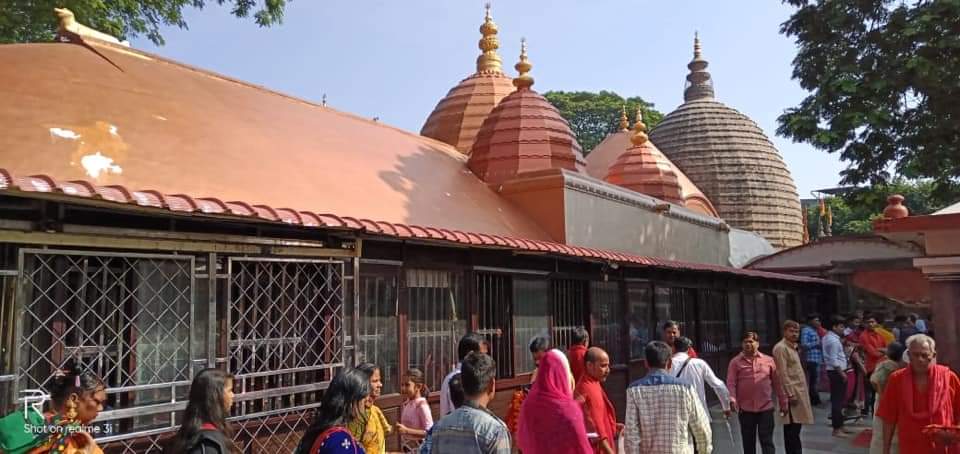 বেশির ভাগ ঐতিহাসিকই একমত যে, কামাখ্যায় একদা নরবলির প্রথা ছিল। তবে তা প্রাচীন আমলে, সম্ভবত কোচ রাজাদের পুনর্নির্মাণের (১৫৬৫ খ্রিষ্টাব্দ) বহু আগে।